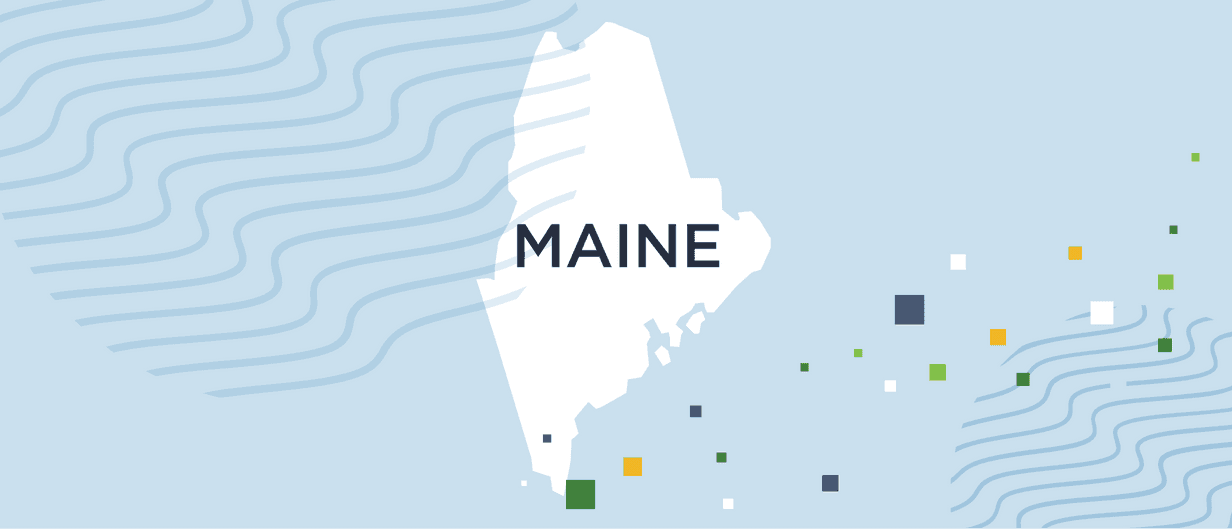 A guide to Maine background checks